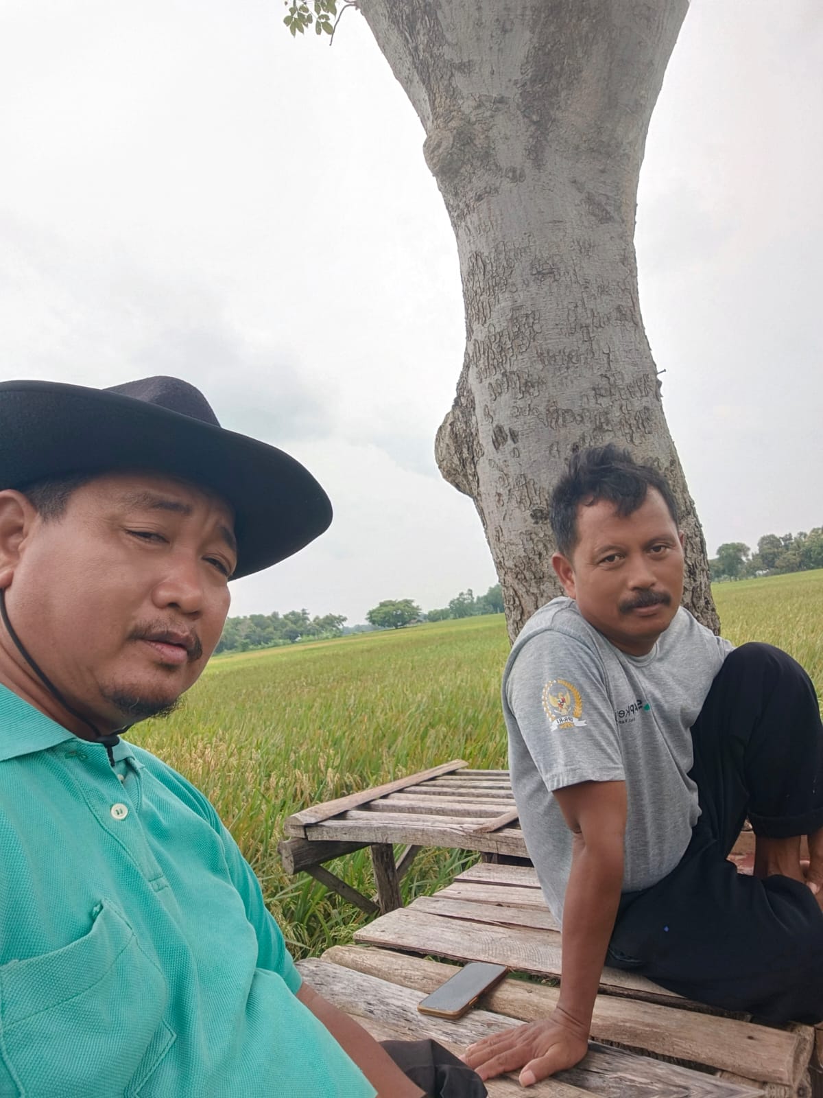 Modernisasi Pertanian desa Sumbon