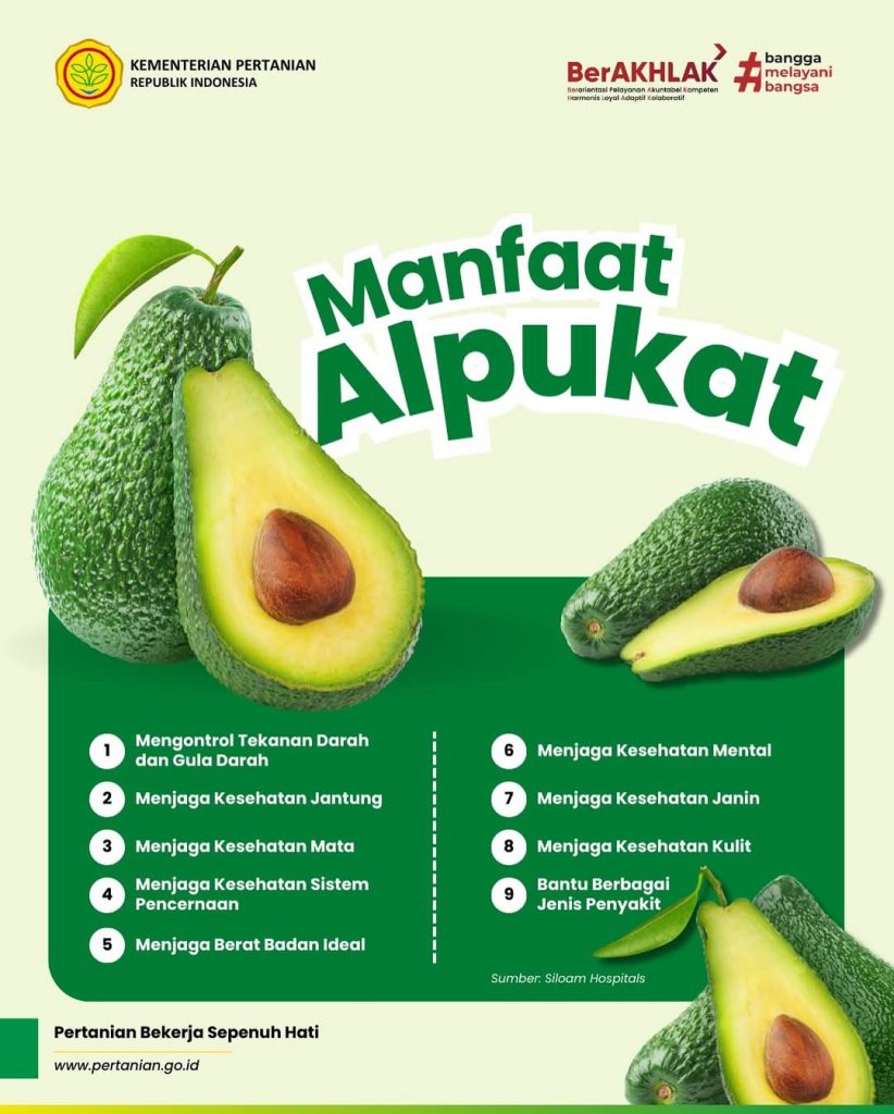 Manfaat buah alpukat