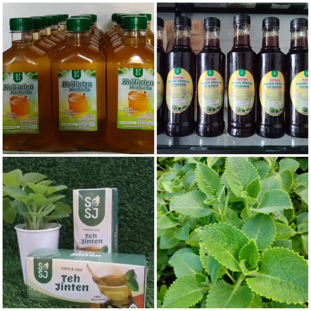 Purna PMI Mutia Sulap Gang Menjadi Kebun Jinten